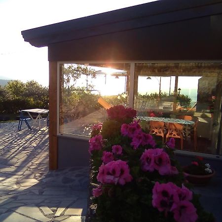 Seacily Etna House Villa Piedimonte Etneo Dış mekan fotoğraf