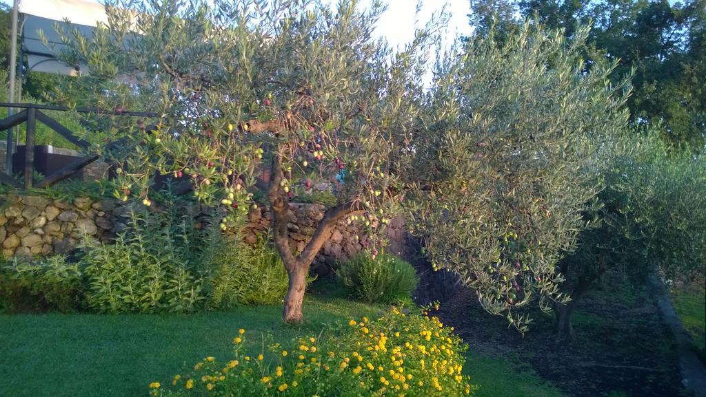 Seacily Etna House Villa Piedimonte Etneo Oda fotoğraf