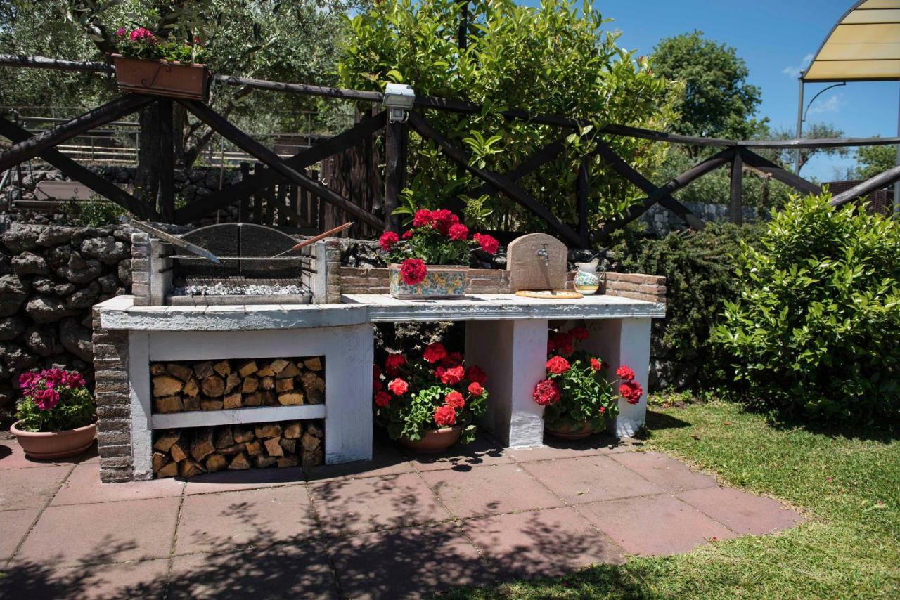 Seacily Etna House Villa Piedimonte Etneo Dış mekan fotoğraf