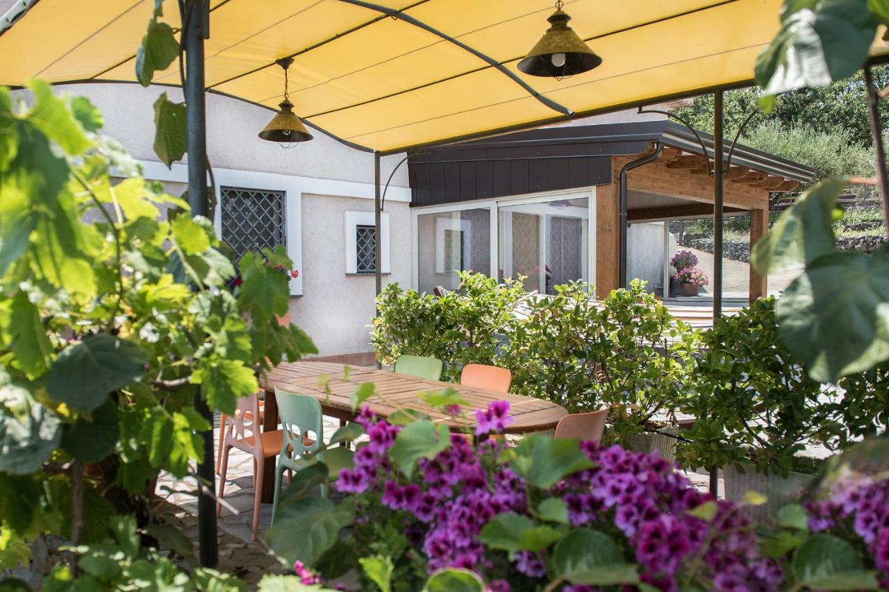 Seacily Etna House Villa Piedimonte Etneo Dış mekan fotoğraf
